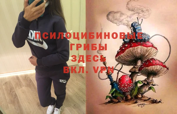 spice Баксан