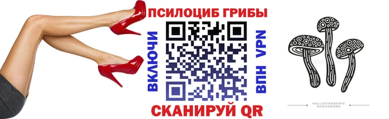 как найти закладки  Суворов  Галлюциногенные грибы MAGIC MUSHROOMS 